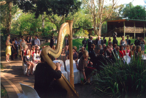 Janice Preece Harpist Brisbane, Ipswich, Gold Coast and Sunshine Coast